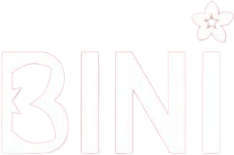 Bini Arcade